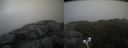 ./images/calvert/buxton2/20210509/buxton220210509_145003M.jpg