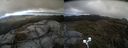 ./images/calvert/buxton2/20210509/buxton220210509_150503M.jpg