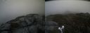 ./images/calvert/buxton2/20210510/buxton220210510_102503M.jpg