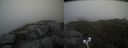 ./images/calvert/buxton2/20210510/buxton220210510_104003M.jpg