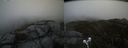 ./images/calvert/buxton2/20210510/buxton220210510_105003M.jpg