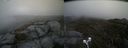 ./images/calvert/buxton2/20210510/buxton220210510_110503M.jpg