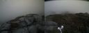 ./images/calvert/buxton2/20210510/buxton220210510_113502M.jpg