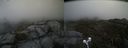 ./images/calvert/buxton2/20210510/buxton220210510_115003M.jpg