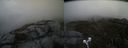 ./images/calvert/buxton2/20210510/buxton220210510_115503M.jpg