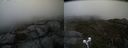./images/calvert/buxton2/20210510/buxton220210510_121003M.jpg