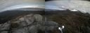 ./images/calvert/buxton2/20210510/buxton220210510_161503M.jpg