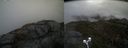 ./images/calvert/buxton2/20210511/buxton220210511_124003M.jpg