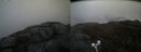 ./images/calvert/buxton2/20210511/buxton220210511_124503M.jpg