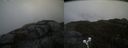 ./images/calvert/buxton2/20210511/buxton220210511_134003M.jpg