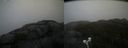 ./images/calvert/buxton2/20210511/buxton220210511_141502M.jpg