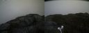 ./images/calvert/buxton2/20210511/buxton220210511_143503M.jpg