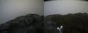 ./images/calvert/buxton2/20210511/buxton220210511_144503M.jpg