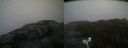./images/calvert/buxton2/20210511/buxton220210511_145503M.jpg