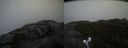 ./images/calvert/buxton2/20210511/buxton220210511_151003M.jpg