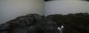 ./images/calvert/buxton2/20210511/buxton220210511_152503M.jpg