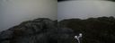 ./images/calvert/buxton2/20210511/buxton220210511_153503M.jpg