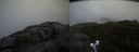 ./images/calvert/buxton2/20210511/buxton220210511_154003M.jpg