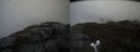 ./images/calvert/buxton2/20210511/buxton220210511_155003M.jpg