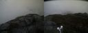 ./images/calvert/buxton2/20210511/buxton220210511_155503M.jpg