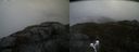 ./images/calvert/buxton2/20210511/buxton220210511_160502M.jpg