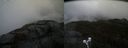 ./images/calvert/buxton2/20210511/buxton220210511_161002M.jpg