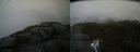 ./images/calvert/buxton2/20210511/buxton220210511_163502M.jpg