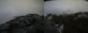 ./images/calvert/buxton2/20210511/buxton220210511_194503M.jpg