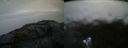 ./images/calvert/buxton2/20210512/buxton220210512_074003M.jpg