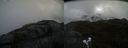 ./images/calvert/buxton2/20210512/buxton220210512_092003M.jpg