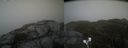./images/calvert/buxton2/20210512/buxton220210512_171503M.jpg