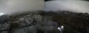 ./images/calvert/buxton2/20210512/buxton220210512_184002M.jpg