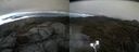 ./images/calvert/buxton2/20210512/buxton220210512_191003M.jpg