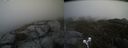 ./images/calvert/buxton2/20210514/buxton220210514_165503M.jpg