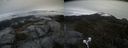 ./images/calvert/buxton2/20210515/buxton220210515_095502M.jpg