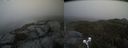 ./images/calvert/buxton2/20210515/buxton220210515_133502M.jpg
