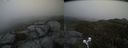 ./images/calvert/buxton2/20210515/buxton220210515_134502M.jpg