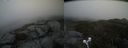 ./images/calvert/buxton2/20210515/buxton220210515_140503M.jpg