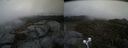 ./images/calvert/buxton2/20210515/buxton220210515_144003M.jpg