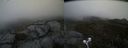 ./images/calvert/buxton2/20210515/buxton220210515_152503M.jpg