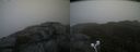 ./images/calvert/buxton2/20210515/buxton220210515_154002M.jpg