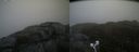 ./images/calvert/buxton2/20210515/buxton220210515_155502M.jpg