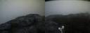 ./images/calvert/buxton2/20210516/buxton220210516_052503M.jpg