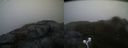 ./images/calvert/buxton2/20210516/buxton220210516_063503M.jpg