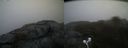 ./images/calvert/buxton2/20210516/buxton220210516_064003M.jpg