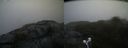 ./images/calvert/buxton2/20210516/buxton220210516_065003M.jpg