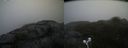./images/calvert/buxton2/20210516/buxton220210516_071503M.jpg