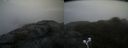 ./images/calvert/buxton2/20210516/buxton220210516_074503M.jpg