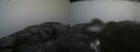 ./images/calvert/buxton2/20210516/buxton220210516_094003M.jpg