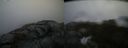 ./images/calvert/buxton2/20210516/buxton220210516_105503M.jpg
